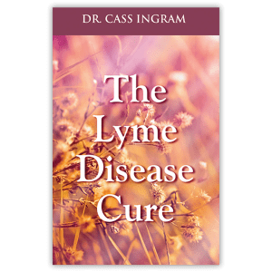 lyme disease cure