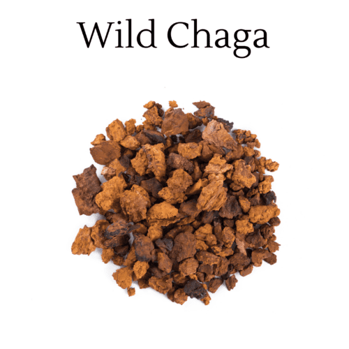 Health Benefits of Wild Chaga by Dr. Cass Ingram