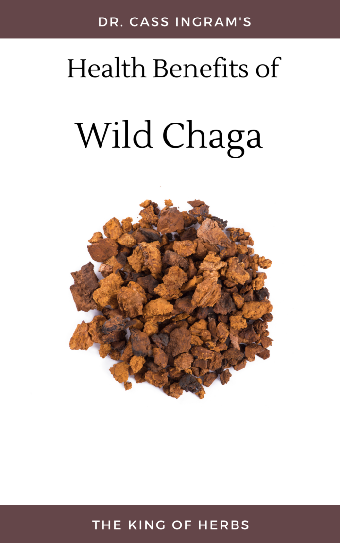 Health Benefits of Wild Chaga by Dr Cass Ingram